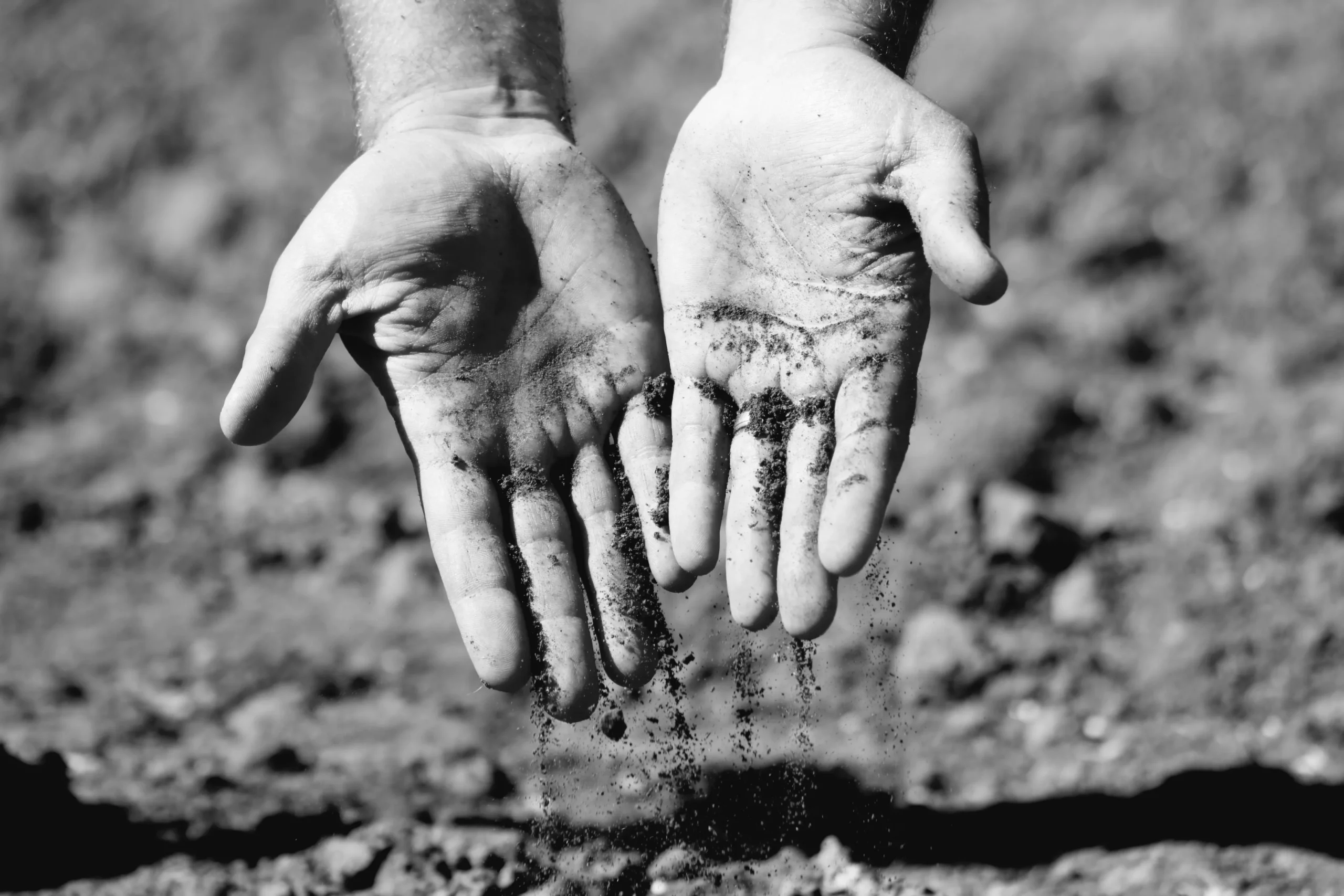 transparante koffieketen