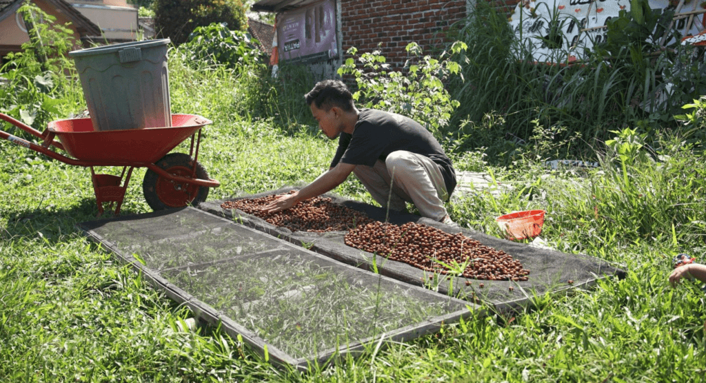 drogen van de koffiebonen